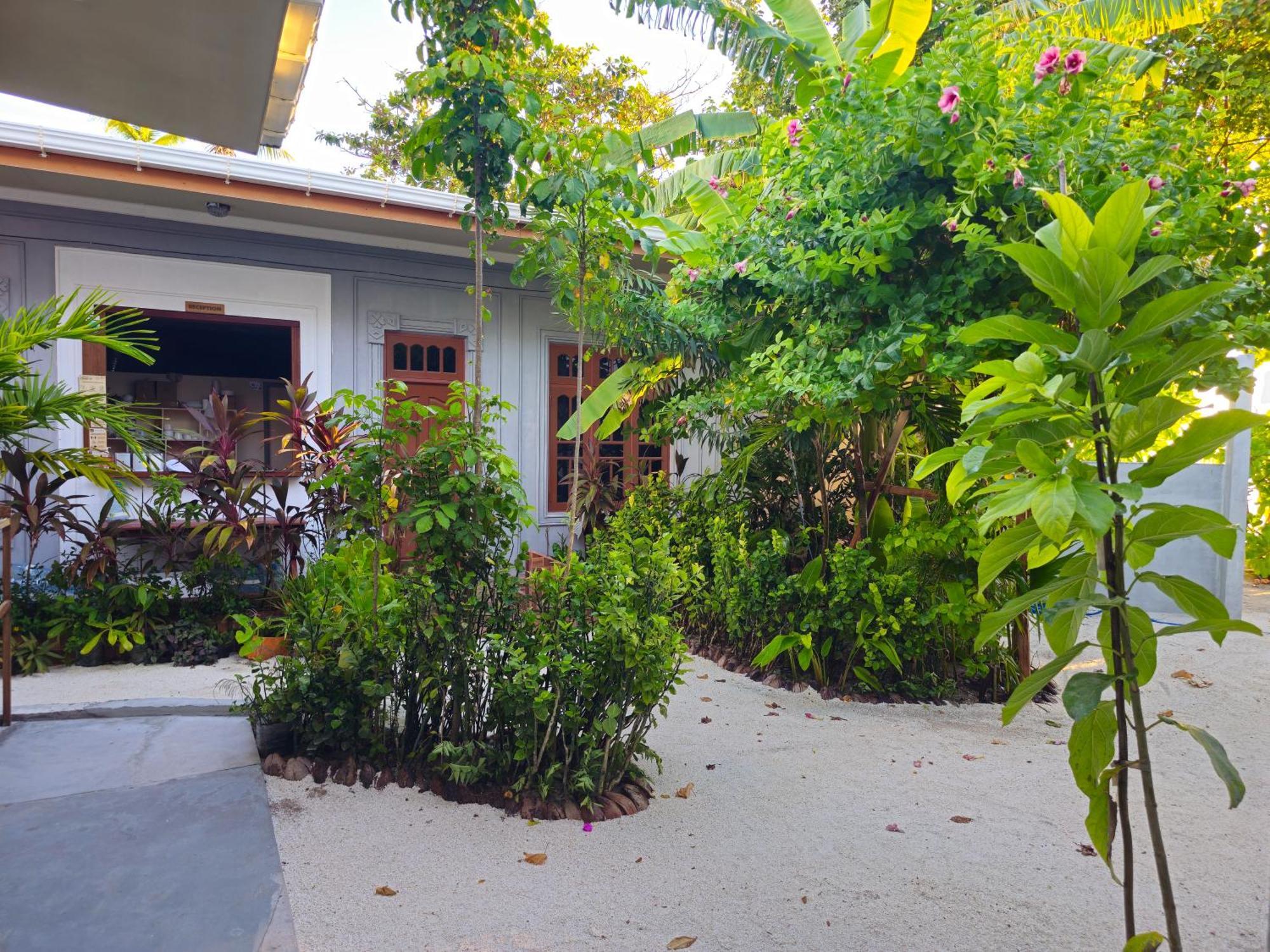 Sunset Beach View Dhangethi Екстериор снимка