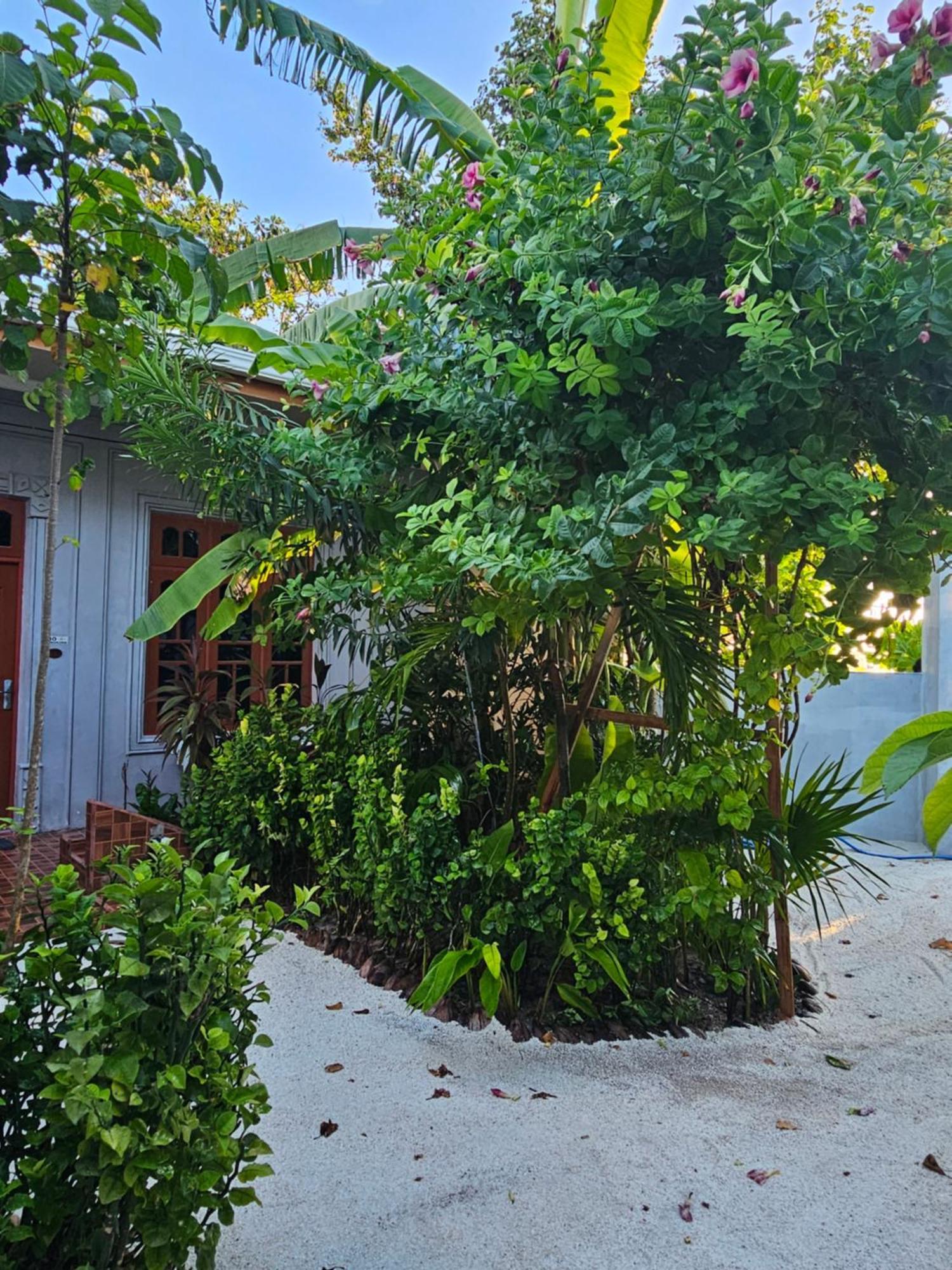 Sunset Beach View Dhangethi Екстериор снимка
