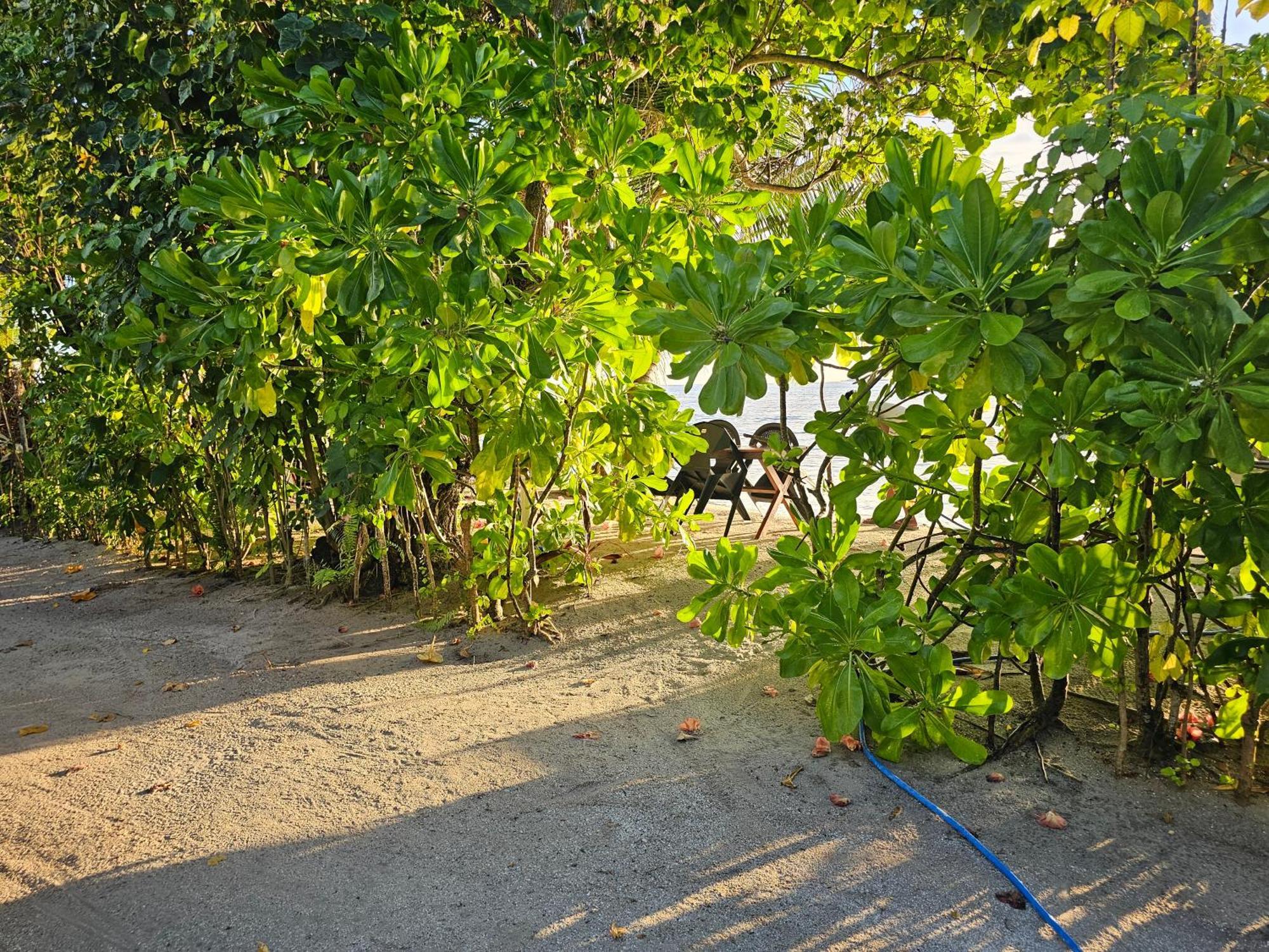Sunset Beach View Dhangethi Екстериор снимка